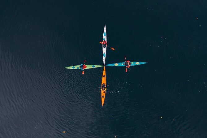 Stockholm: Winter Kayaking, Swedish Fika and hot Sauna Experience - Dry Suits, Sea Kayaks, and Safety Gear That Makes Winter Real