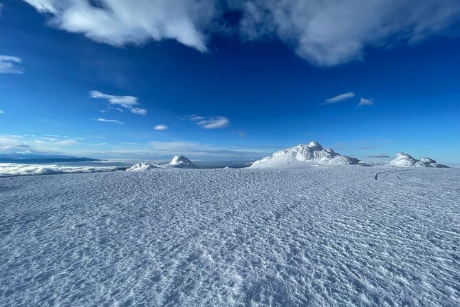 The Best of Sofia: Magical Snowshoeing Adventure in Vitosha & SPA - Price and Value: What $103 Really Buys You