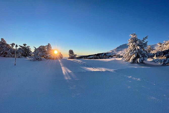 The Best of Sofia: Magical Snowshoeing Adventure in Vitosha & SPA - Winter Timing in Sofia: When the Day Runs and Why It Matters