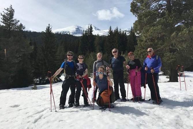The Best of Sofia: Magical Snowshoeing Adventure in Vitosha & SPA - Getting Set Up in the Mountains: From First Steps to Better Footing