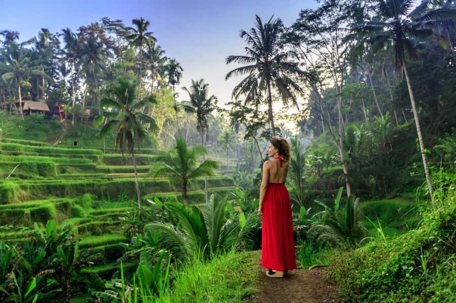 Ubud: Floating Breakfast, Jungle Swing & Spa Romantic Tour - Price and logistics: why $36 can feel like a steal