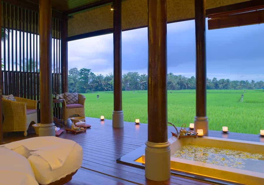 Ubud: Spa Treatment with Scenic Rice Paddy Views - Ubud rice-paddy views from your own Spa Suite