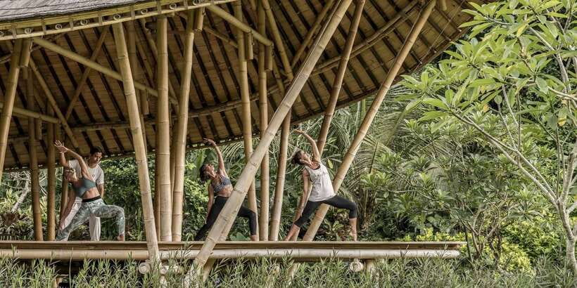 Ubud: Wellness Retreat with Massage, Yoga Class, and Lunch - Yoga Class in Ubud Jungle Sounds: Beginner-Friendly but Still Real
