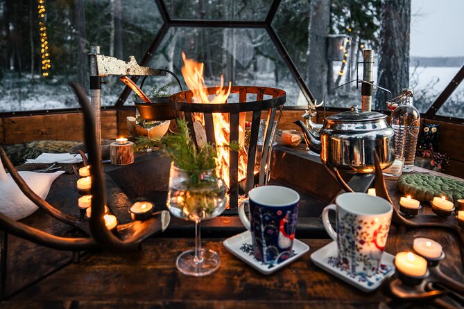VIP SERVICE Traditional Finnish Log Sauna and Food Experience - Price and Value: High Cost Can Still Be Worth It