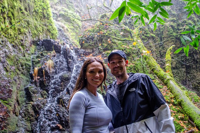 Wine & Wellness Tour in Napa Valley - Key highlights at a glance