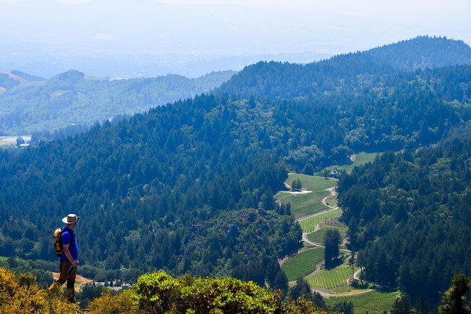 Wine & Wellness Tour in Napa Valley - Price and value: what $499 buys you in Napa