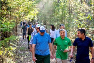 Wine & Wellness Tour in Napa Valley - Napa Native hike: redwoods, views, and real pace
