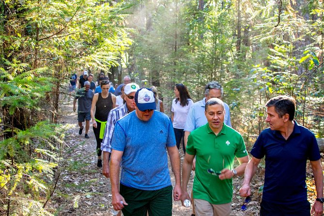 Wine & Wellness Tour in Napa Valley - Napa Native hike: redwoods, views, and real pace