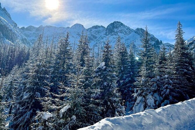 Zakopane Day Tour with Hotel Pick up and Optional Thermal Spa - Witow shepherd hut: the smoked cheese tasting that gives the day a spine
