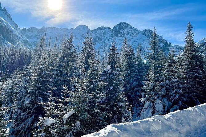 Zakopane Tour from Krakow with Thermal SPA and Hotel Pick up - Gubałówka funicular: the fastest way up for Tatra views