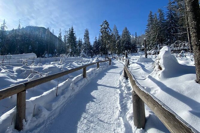 Zakopane Tour from Krakow with Thermal SPA and Hotel Pick up - Price and value: what $123 buys you in real terms